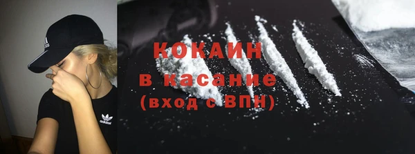 индика Абаза