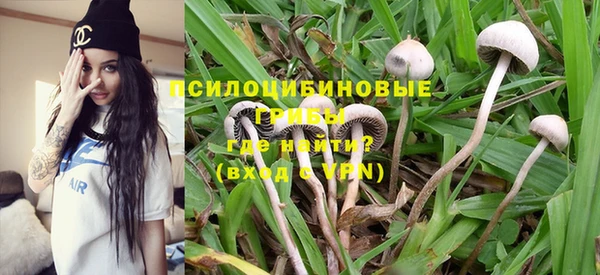 PSILOCYBIN Абинск