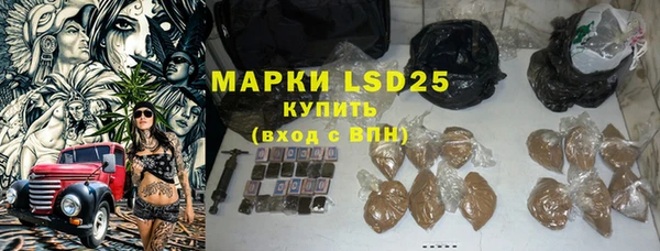 индика Абаза