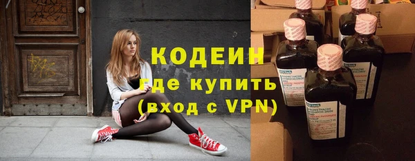 индика Абаза