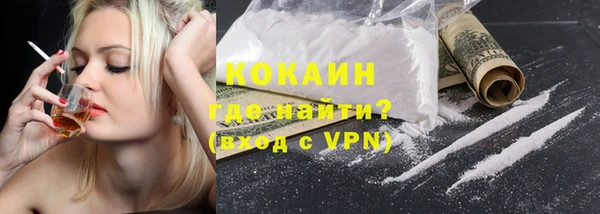 индика Абаза