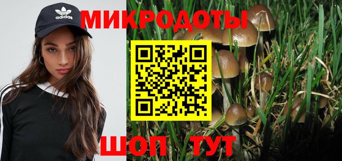 Иркутск  Галлюциногенные грибы Psilocybine cubensis  Вход с VPN  Галлюциногенные грибы MAGIC MUSHROOMS 